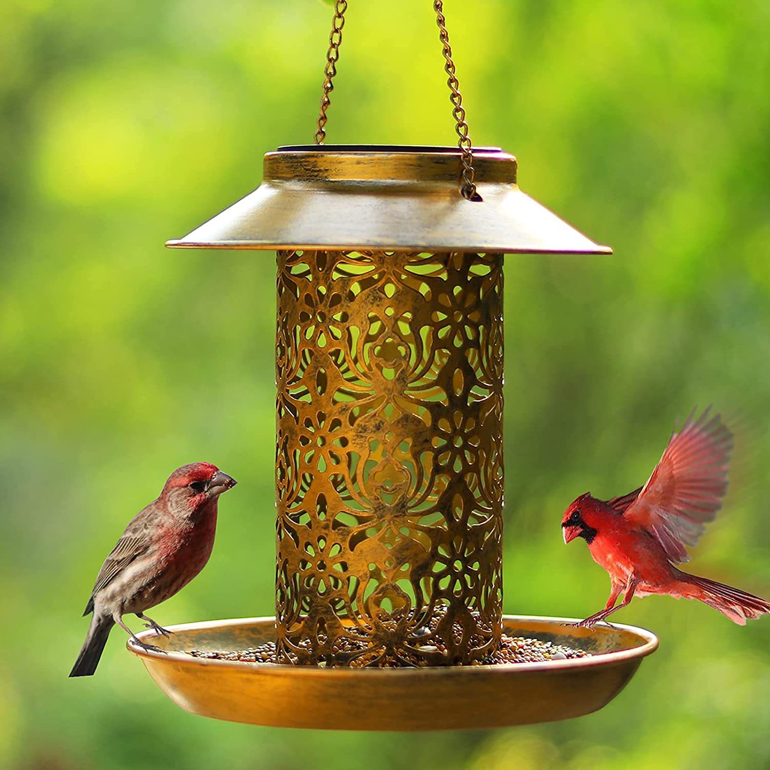 Outdoor Lighting Ideas For Backyard - Rumah Burung Gantung Logam Luar Ruangan